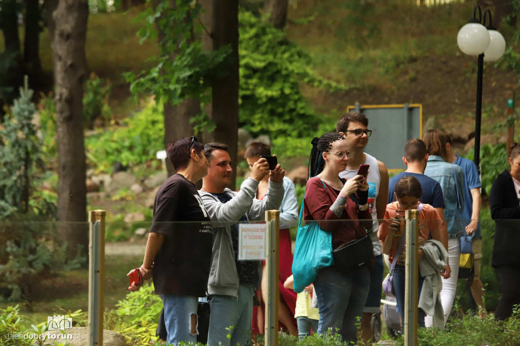 Urodziny Ogrodu Zoobotanicznego