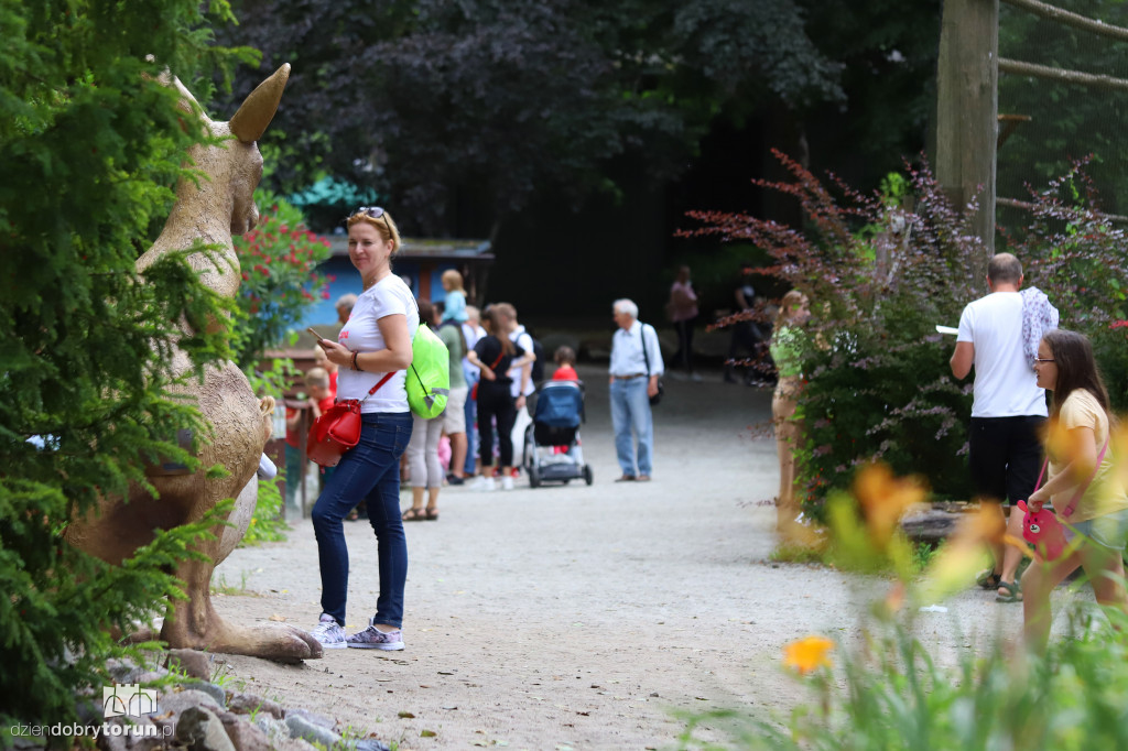 Urodziny Ogrodu Zoobotanicznego
