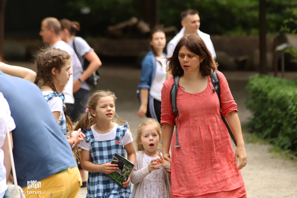 Urodziny Ogrodu Zoobotanicznego