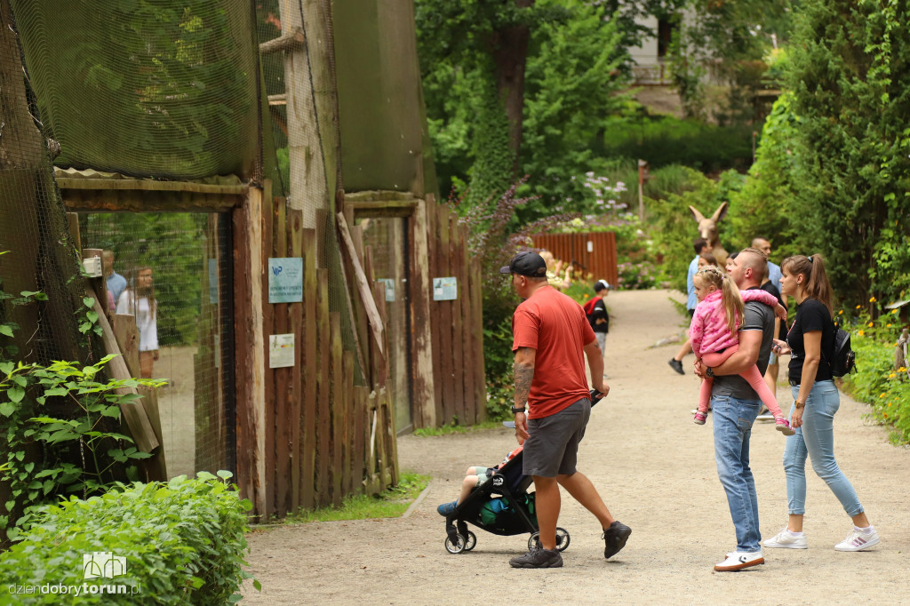 Urodziny Ogrodu Zoobotanicznego