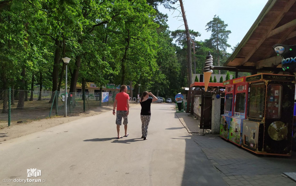 Tak wyglądają ceny w Kamionkach