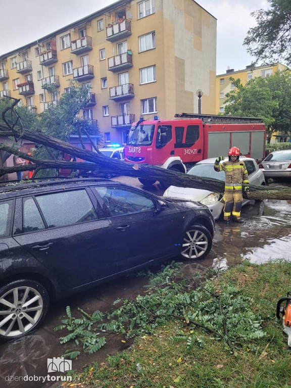 Nawałnica w Toruniu i powiecie