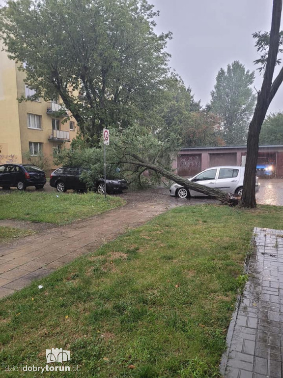 Nawałnica w Toruniu i powiecie