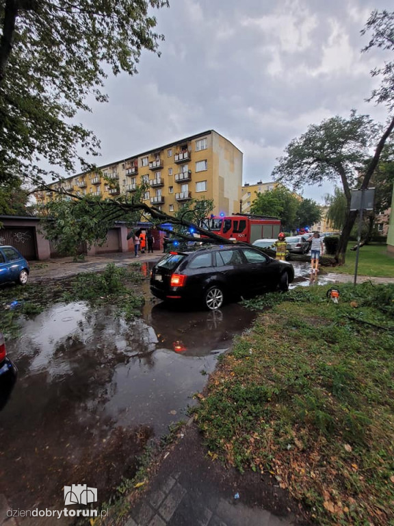 Nawałnica w Toruniu i powiecie