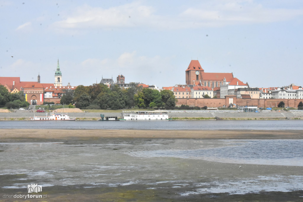 Rzeka wysycha. Ogromne łachy na Wiśle