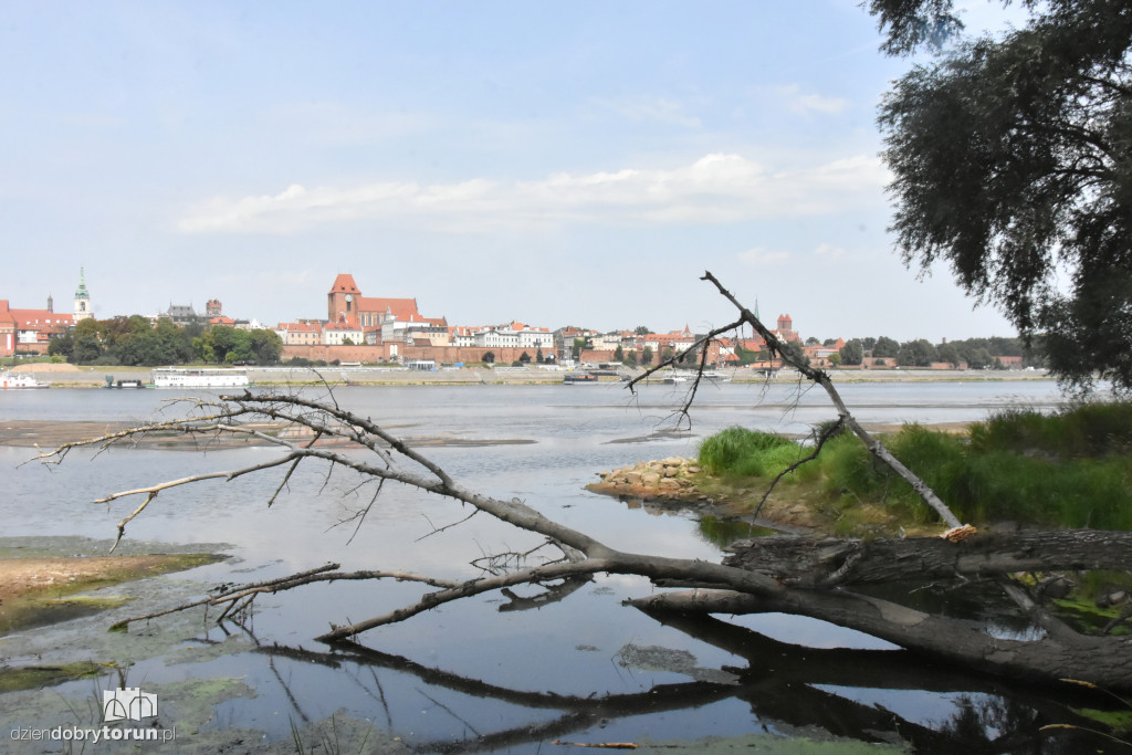 Rzeka wysycha. Ogromne łachy na Wiśle