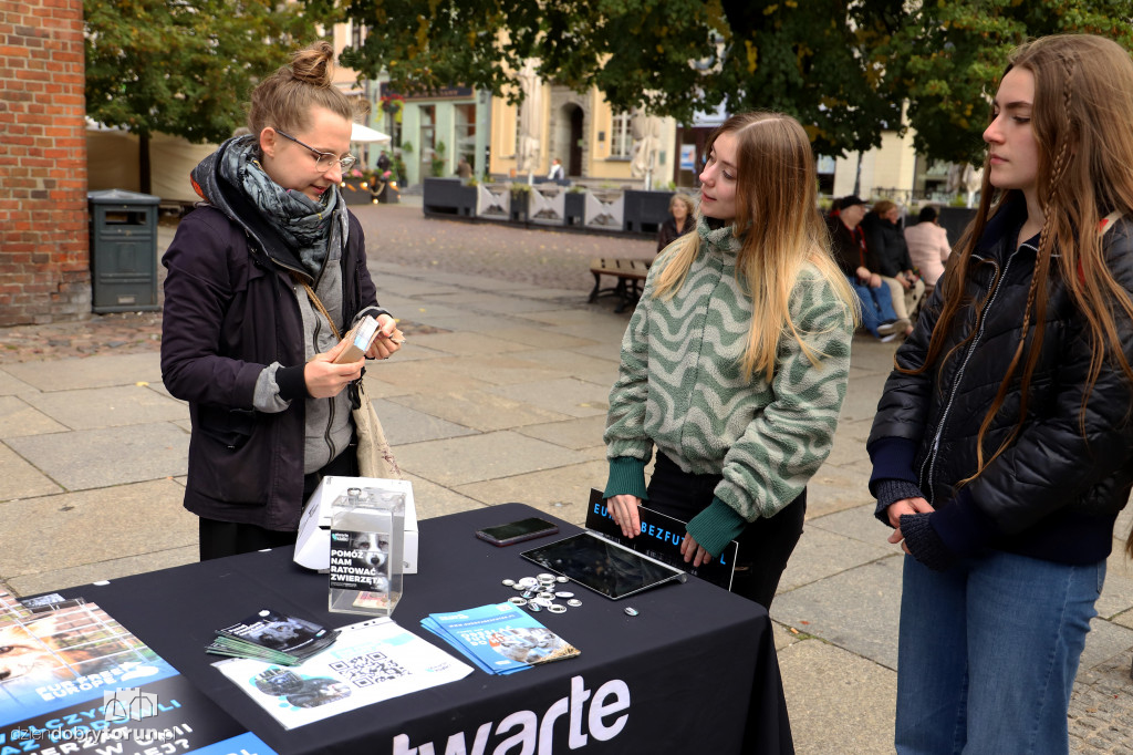 Pikieta przeciwko hodowli zwierząt na futra