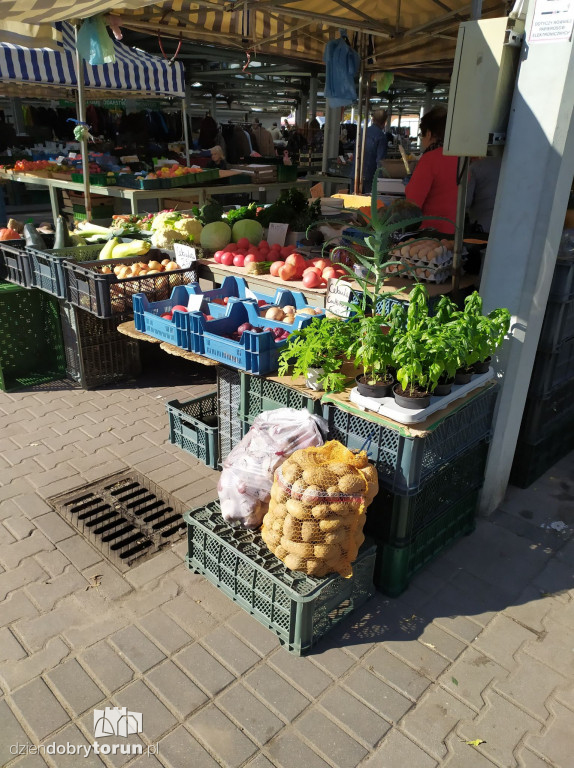 Sprawdziliśmy ceny na miejskim targowisku