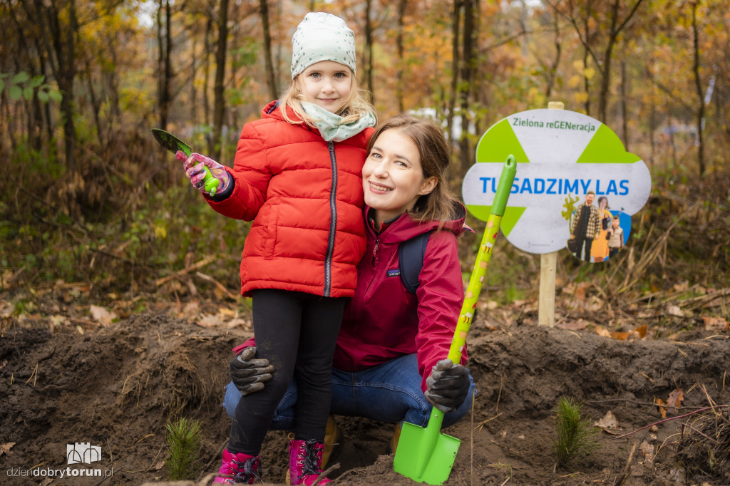 Zakasali rekawy i do roboty. NEUCA posadziła las