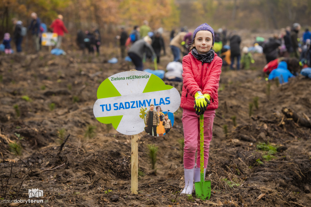 Zakasali rekawy i do roboty. NEUCA posadziła las