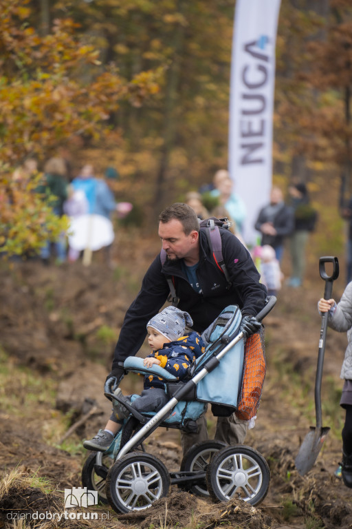 Zakasali rekawy i do roboty. NEUCA posadziła las