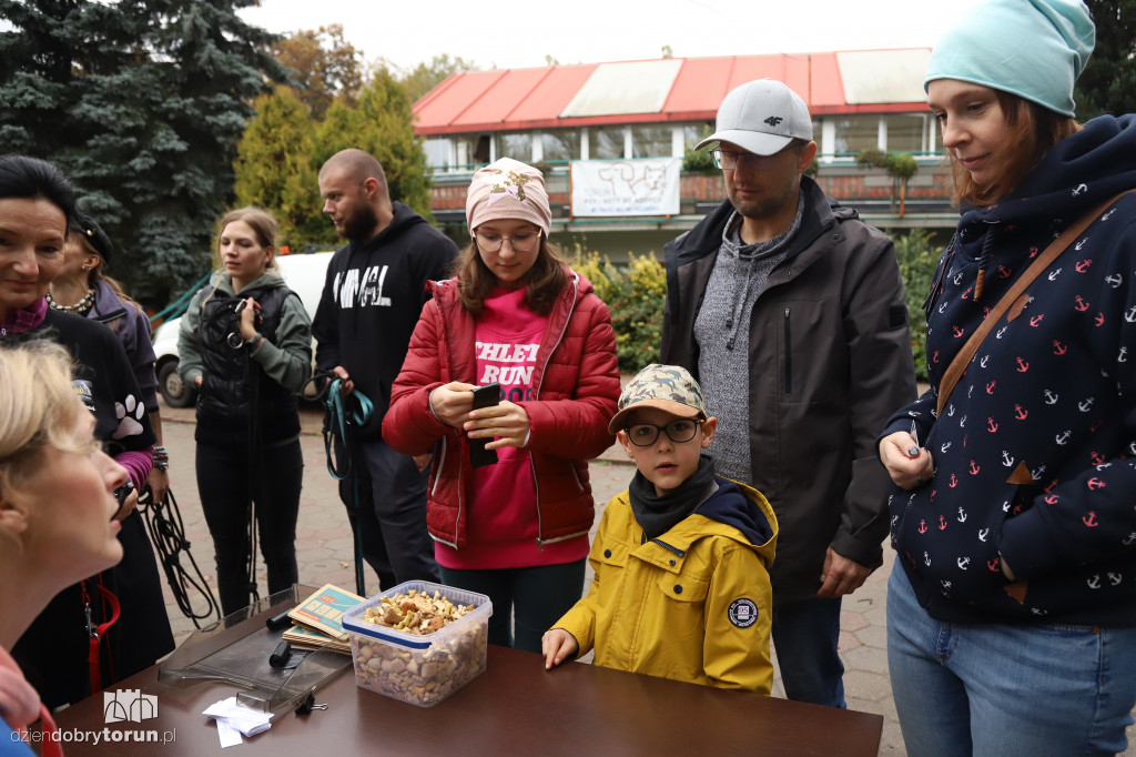 Akcja wyprowadź psa w schronisku