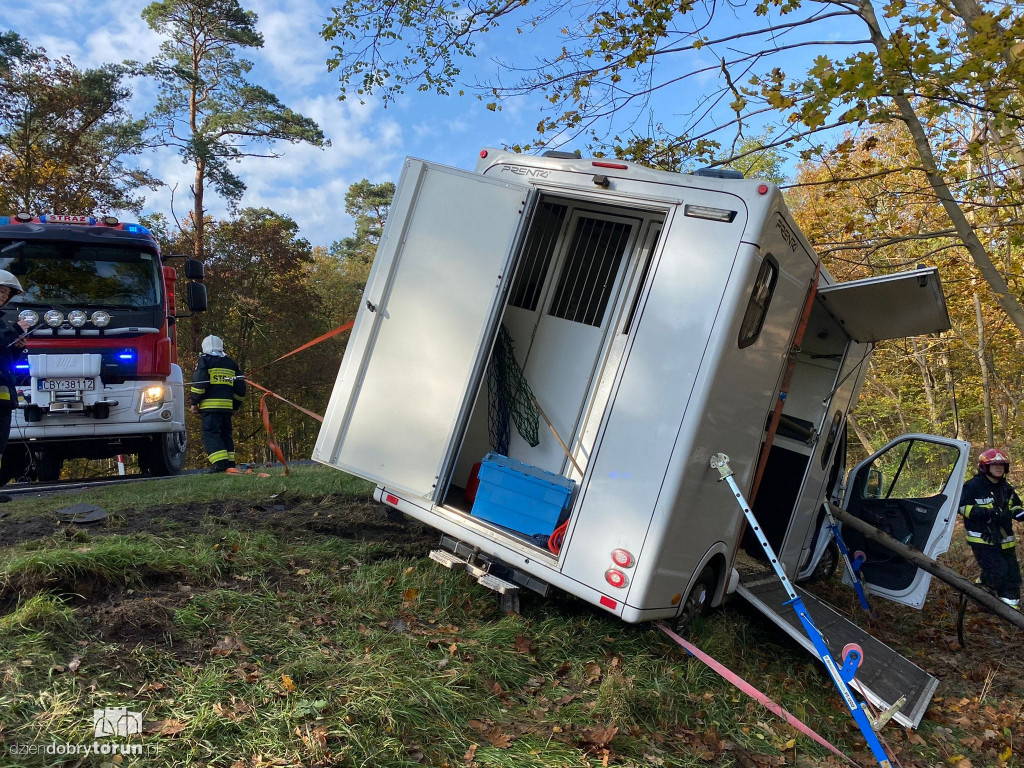 Wypadek na DK 10 pod Toruniem