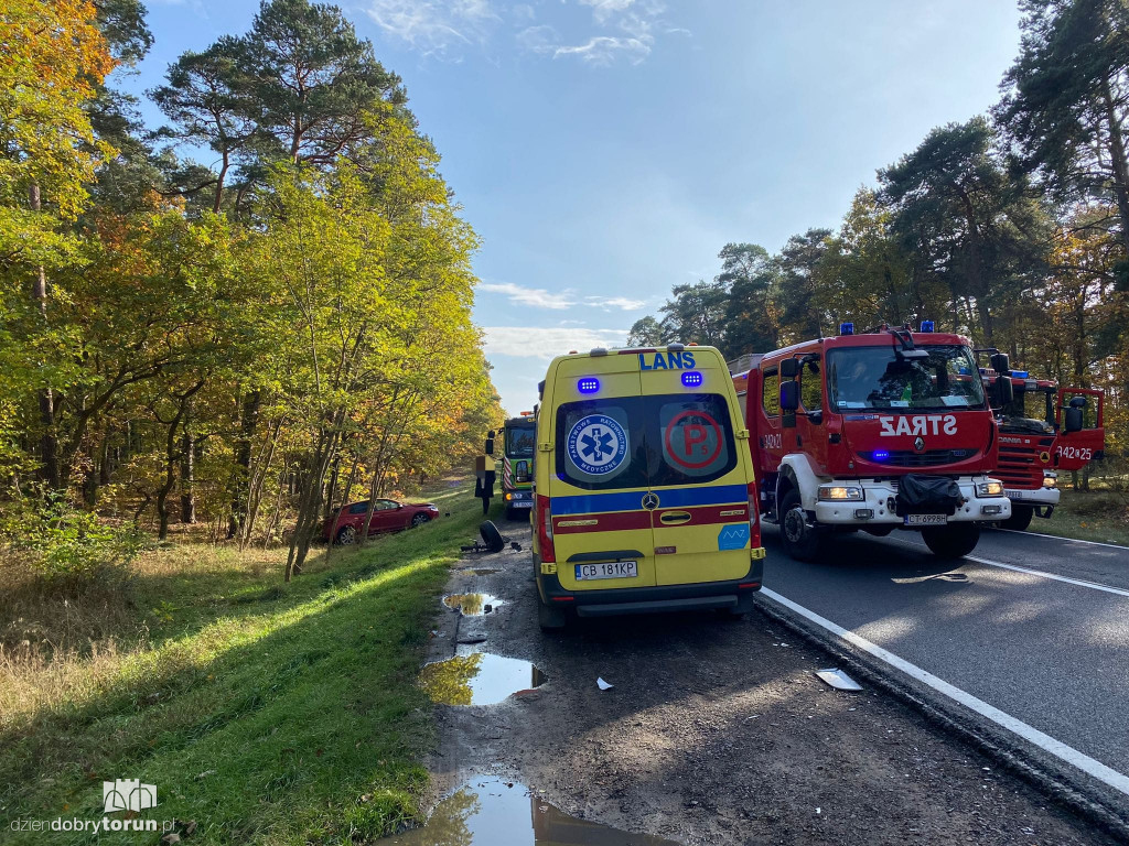 Wypadek na DK 10 pod Toruniem