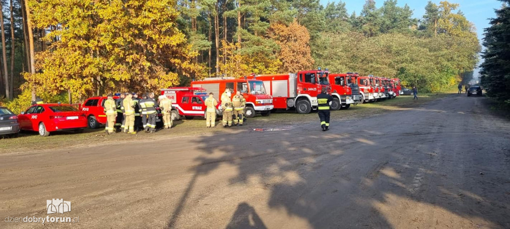 Poszukiwania zaginionej mieszkanki Torunia