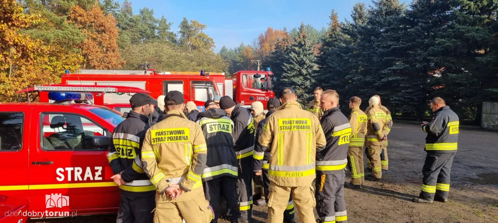 Poszukiwania zaginionej mieszkanki Torunia