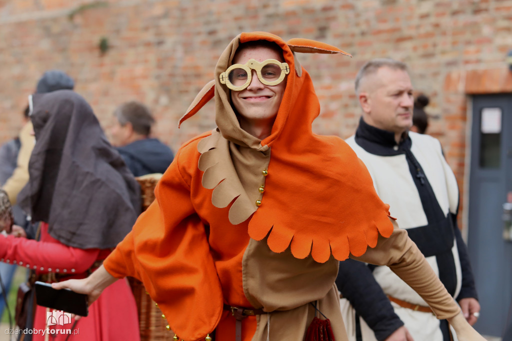XIII Toruńskie Medievalia