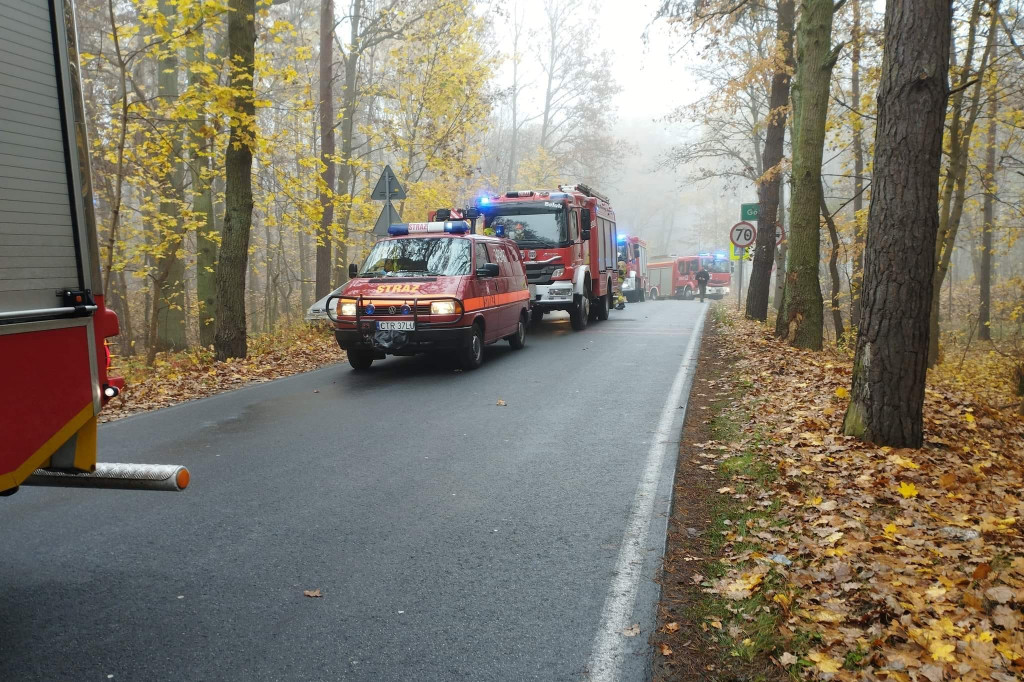 Wypadek na drodze pod Toruniem