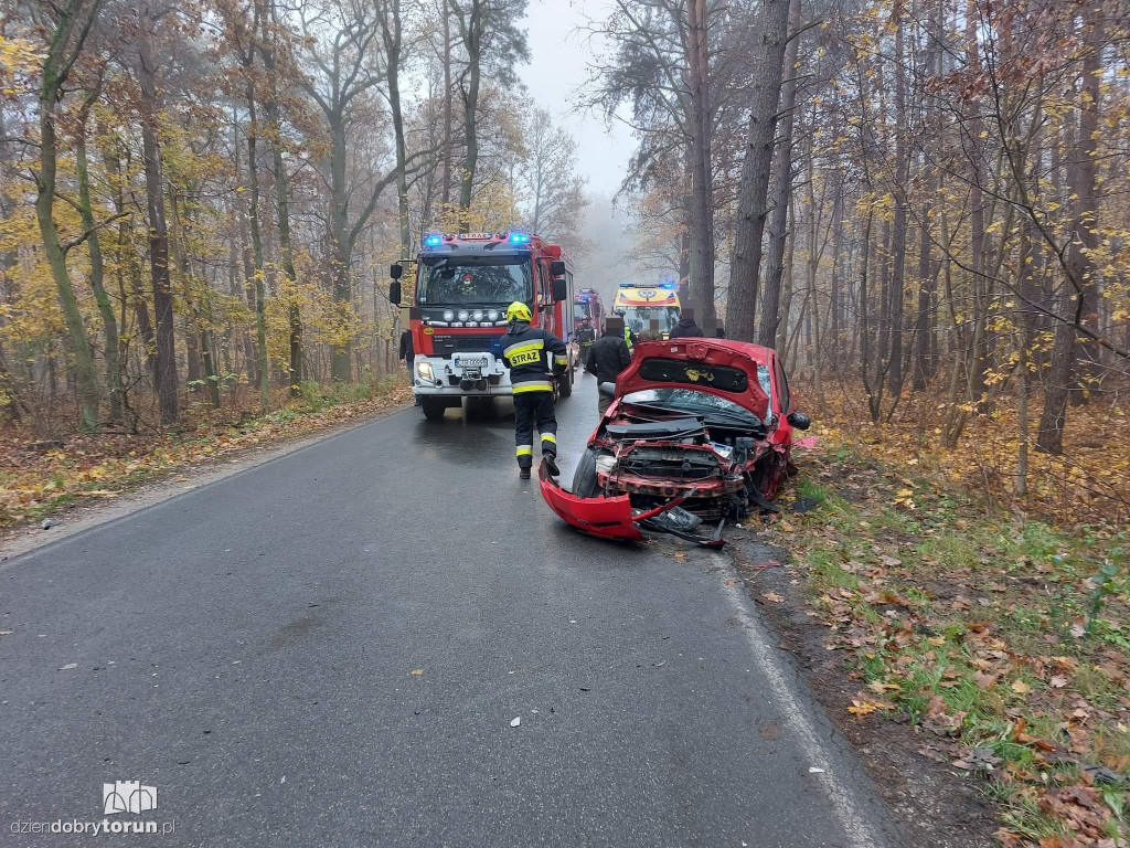 Wypadek na drodze pod Toruniem