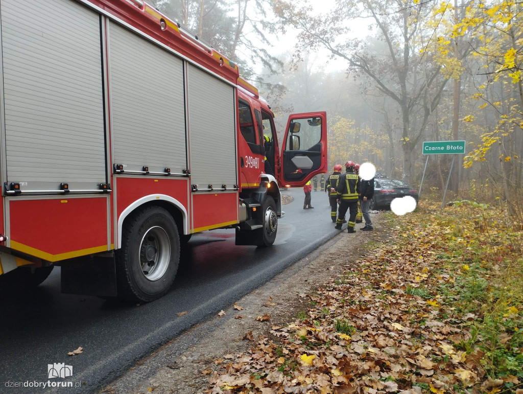 Wypadek na drodze pod Toruniem