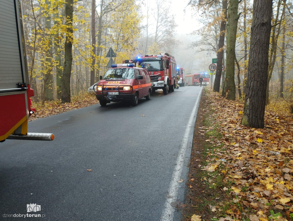 Wypadek na drodze pod Toruniem