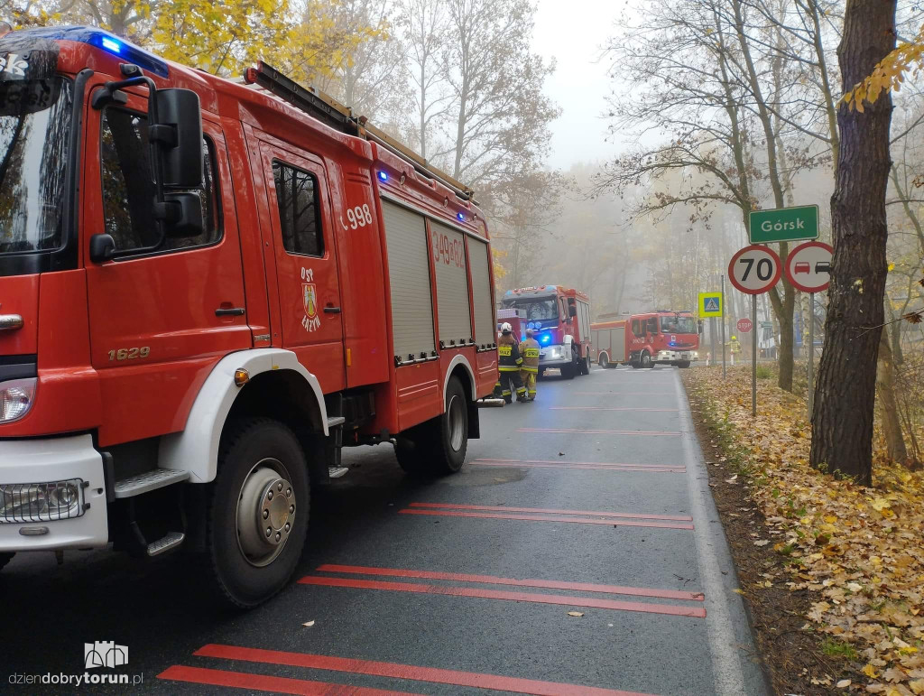 Wypadek na drodze pod Toruniem