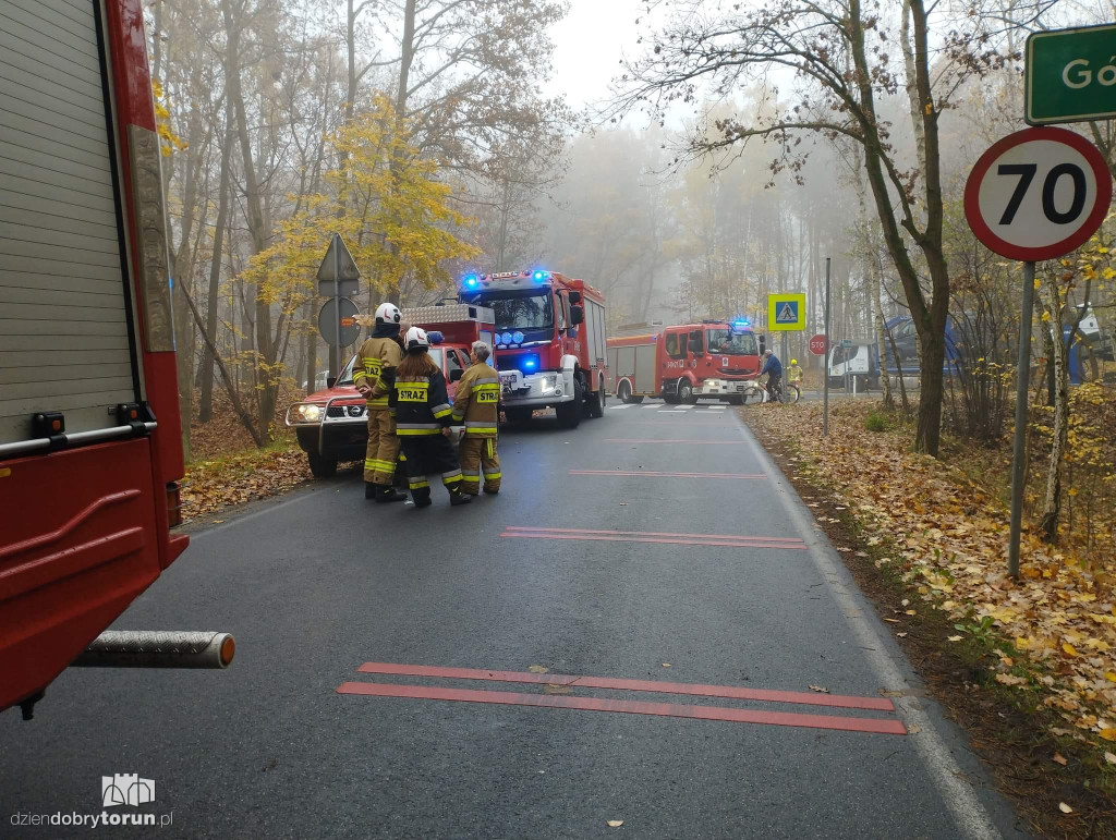 Wypadek na drodze pod Toruniem