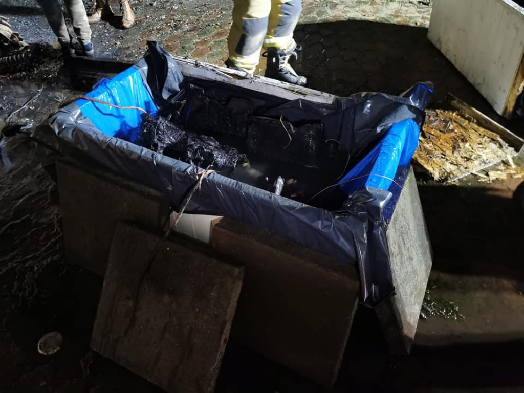 Kradzież parafiny i dziupla pod Toruniem