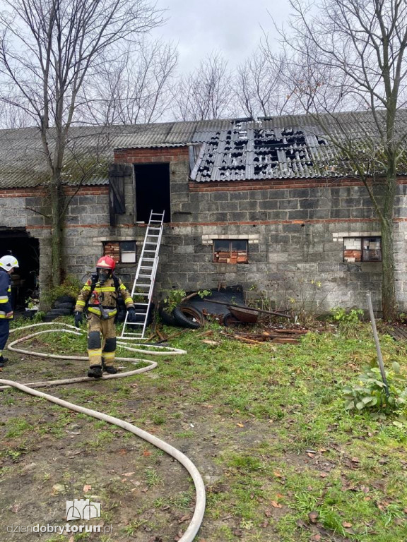 Pożar w malutkiej wsi pod Toruniem