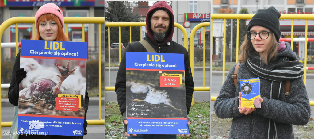 Pikieta pod supermarketem Lidl w Toruniu