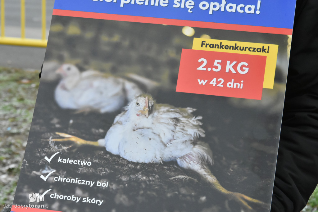 Pikieta pod supermarketem Lidl w Toruniu