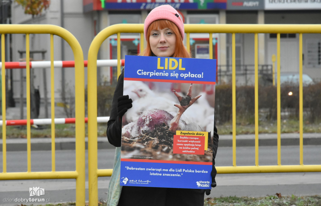 Pikieta pod supermarketem Lidl w Toruniu