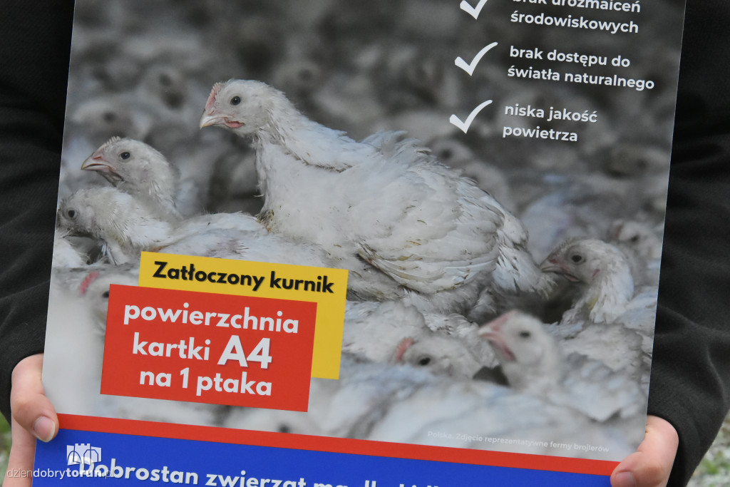 Pikieta pod supermarketem Lidl w Toruniu