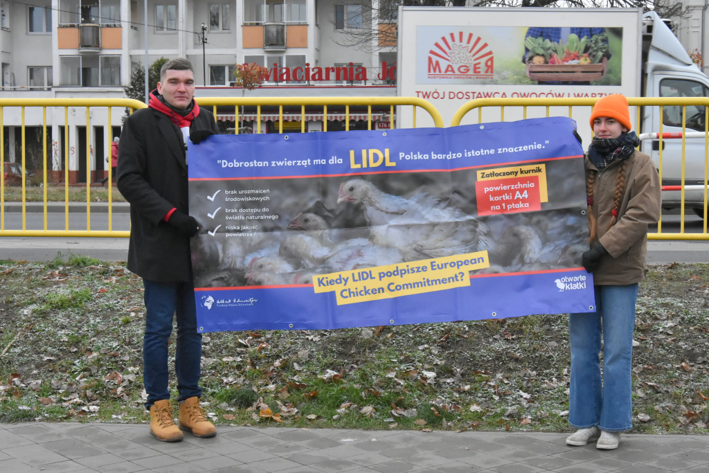 Pikieta pod supermarketem Lidl w Toruniu