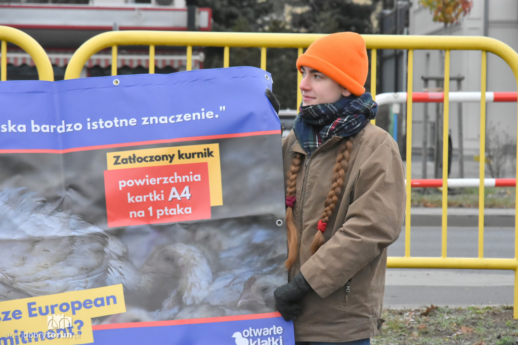 Pikieta pod supermarketem Lidl w Toruniu