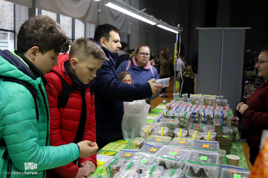 Targi Terrarystyczne Terra Expo
