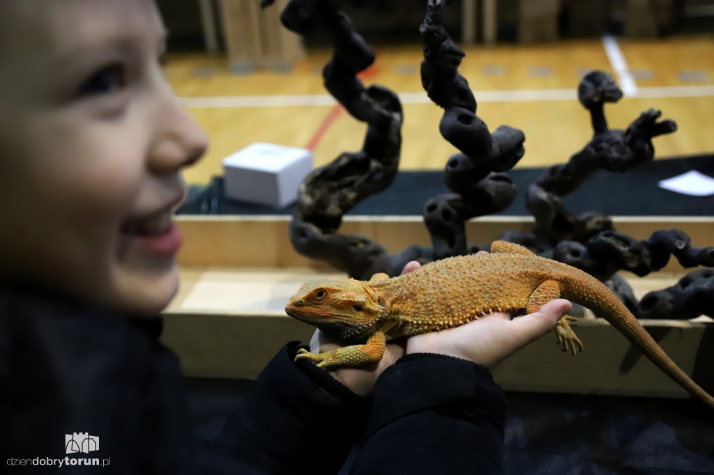 Targi Terrarystyczne Terra Expo