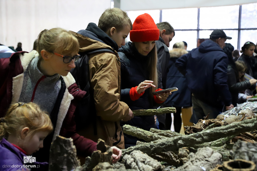 Targi Terrarystyczne Terra Expo