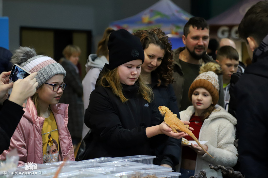 Targi Terrarystyczne Terra Expo