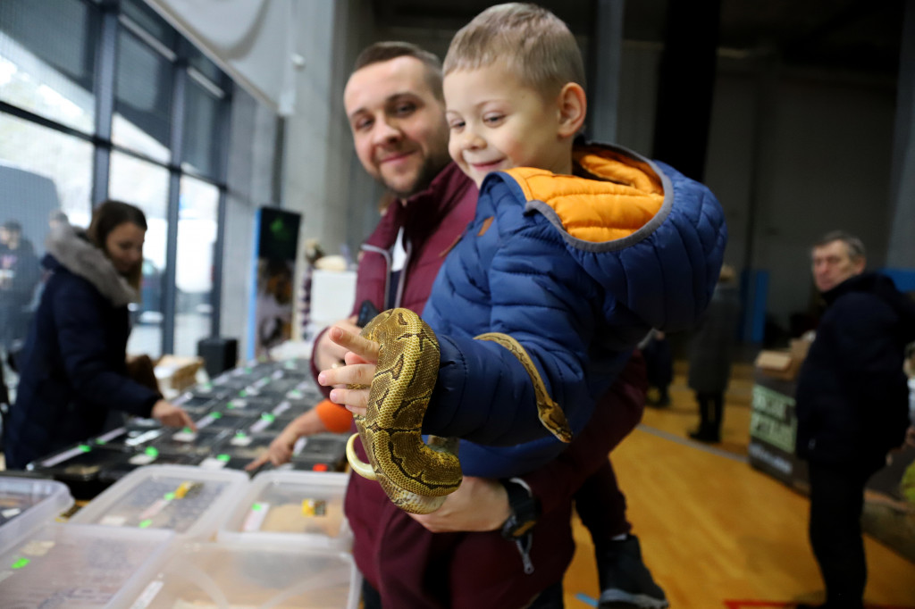 Targi Terrarystyczne Terra Expo