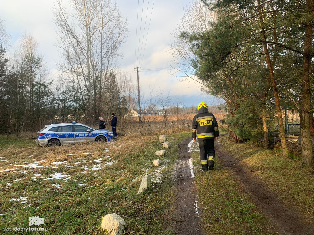 Groźny pożar w powiecie toruńskim