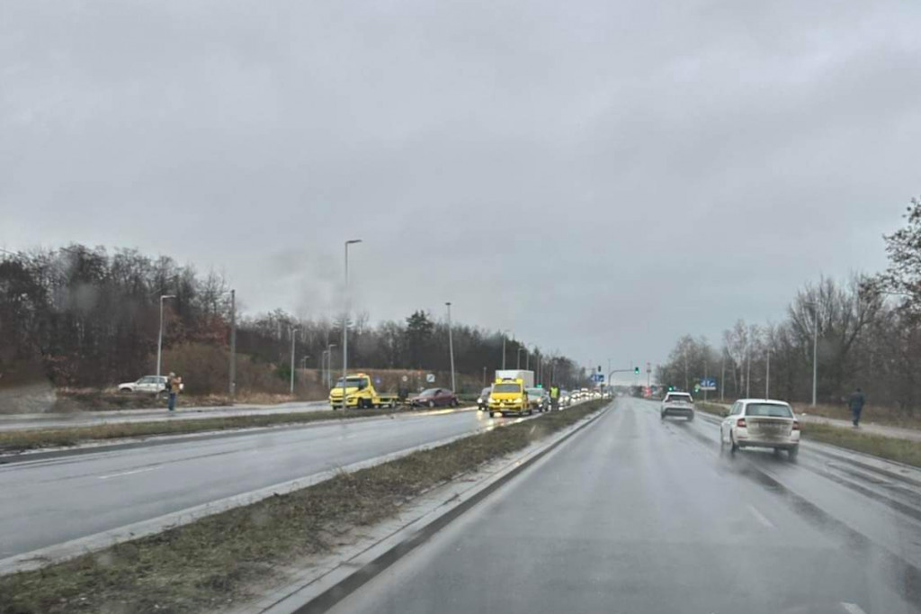 Kolizja z udziałem dzików przy Łódzkiej