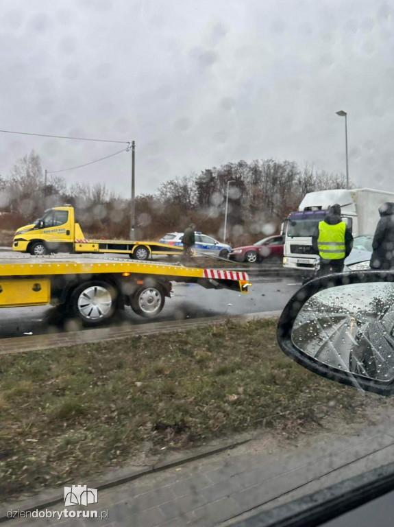 Kolizja z udziałem dzików przy Łódzkiej