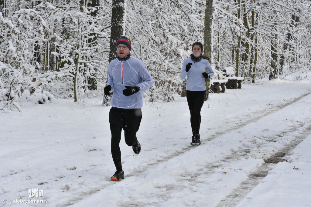 Sobotni parkrun w Toruniu
