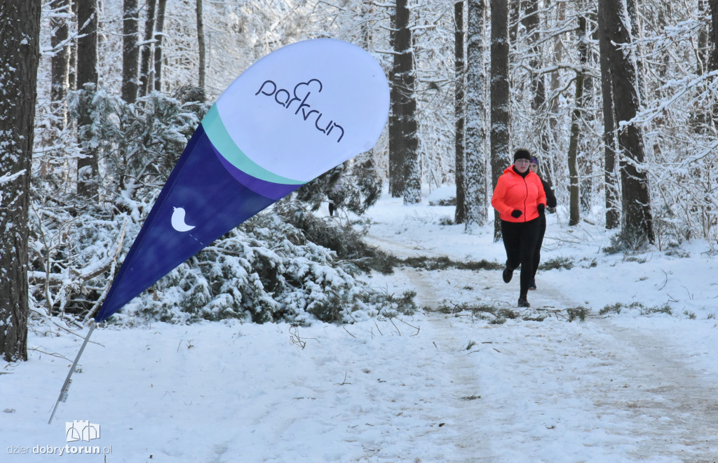 Sobotni parkrun w Toruniu