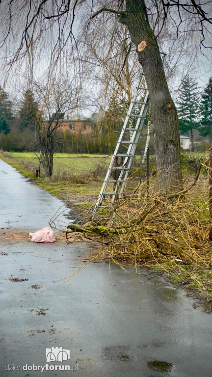 Wypadek w pobliżu Torunia