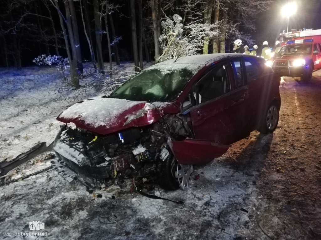 Wypadek na drodze w pobliżu Torunia