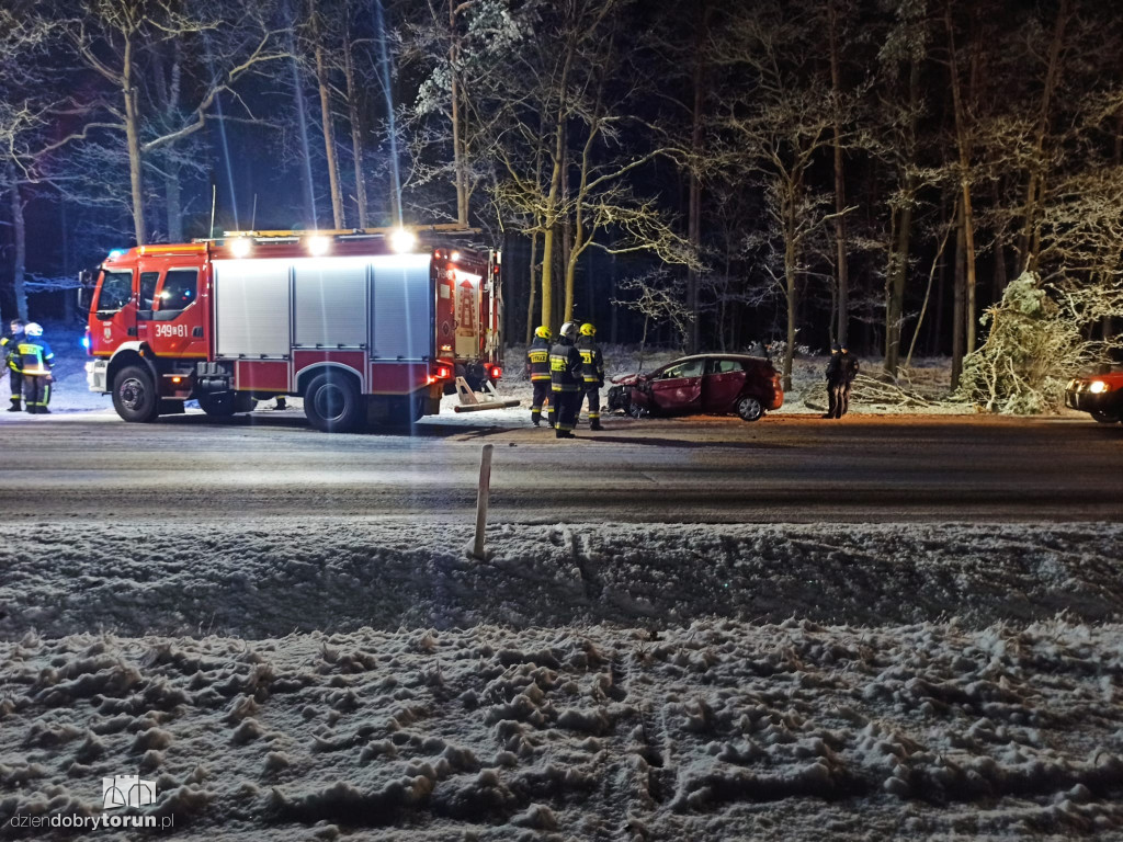 Wypadek na drodze w pobliżu Torunia