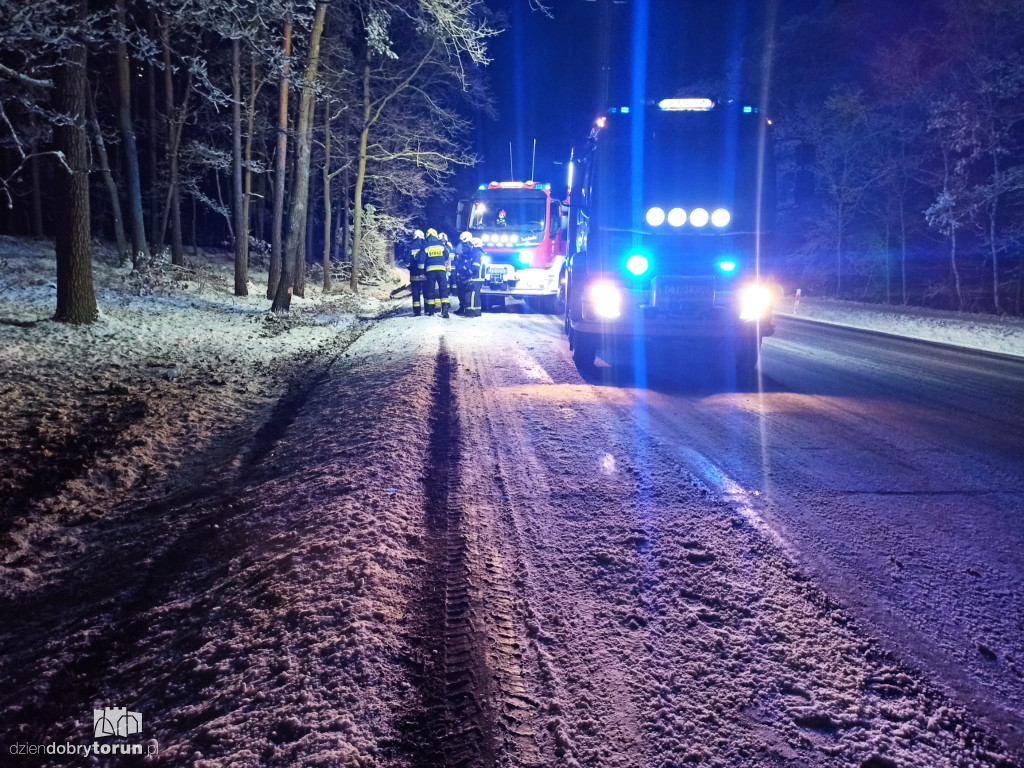 Wypadek na drodze w pobliżu Torunia