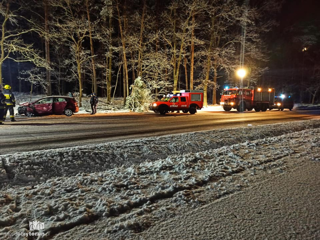 Wypadek na drodze w pobliżu Torunia